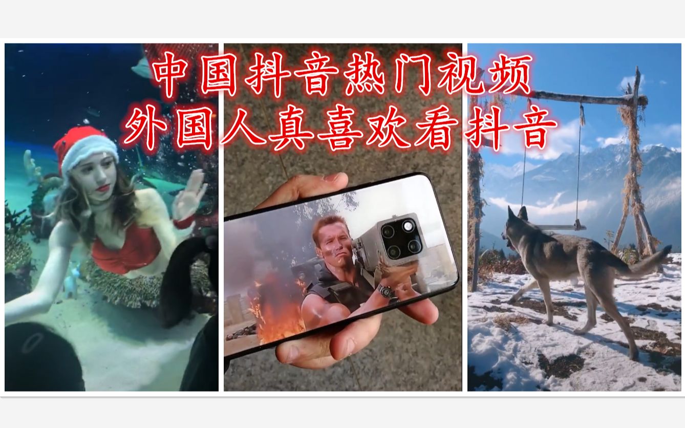多少人在看抖音=抖音多少人次看过是不是真的