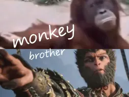 Download Video: 【黑神话：悟空】monkey brother