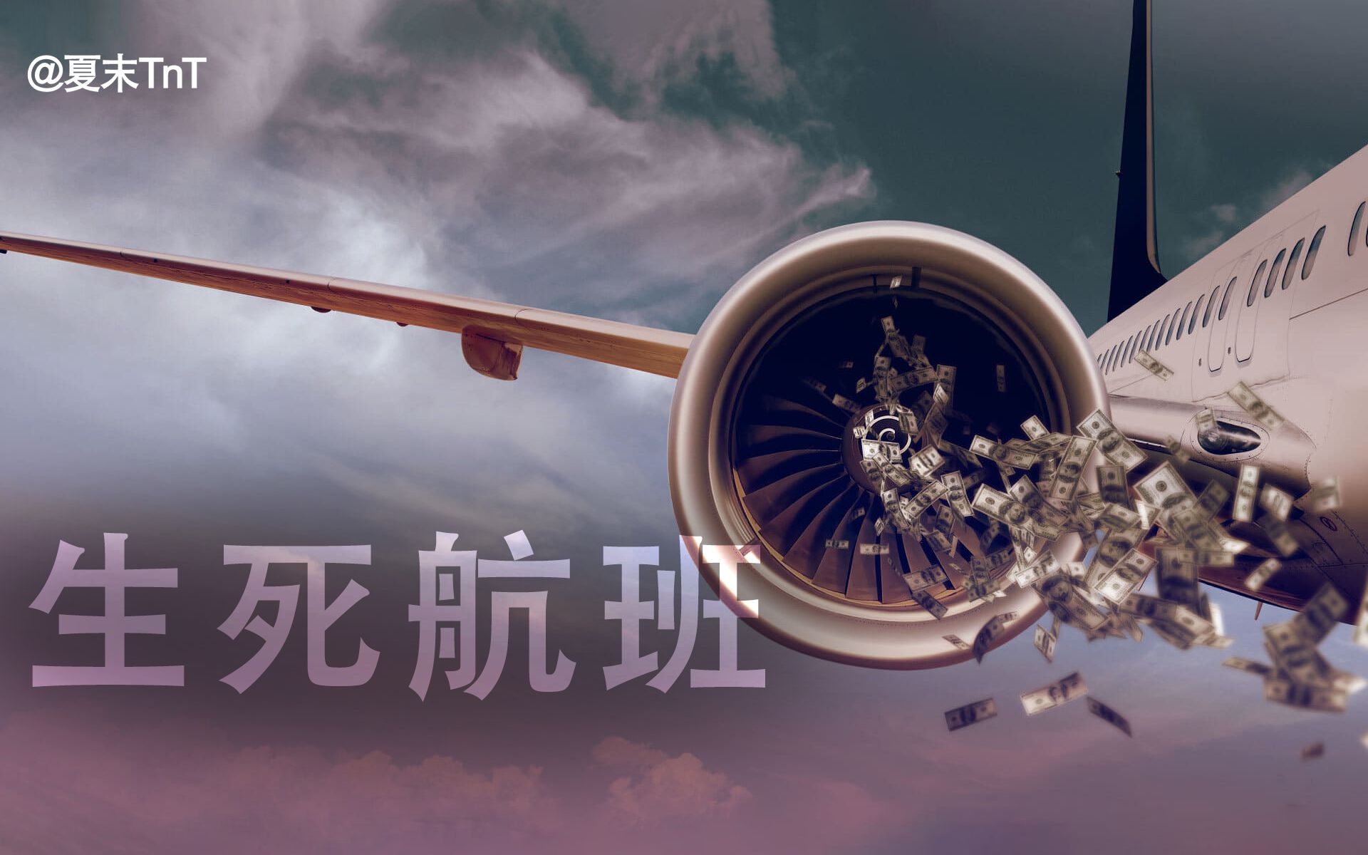 [图]生死航班 中英双语字幕 Flight/Risk（2022）