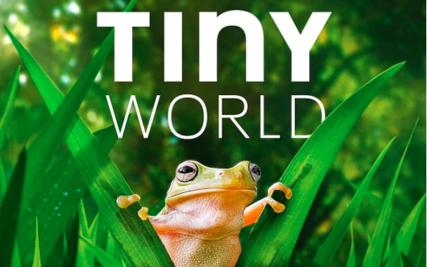 [图]小小世界.Tiny.World.S02-1080p.HD中英双字