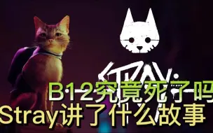 Download Video: 【听我讲故事】Stray讲了什么故事，B12究竟是生是死