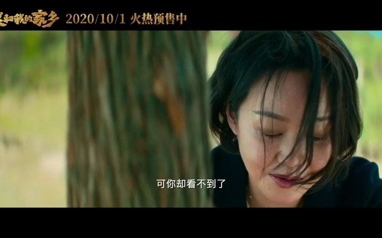 《我和我的家乡》1080P 国内突破10亿大巨作!十万字深度解析哦!敬请观看!哔哩哔哩bilibili