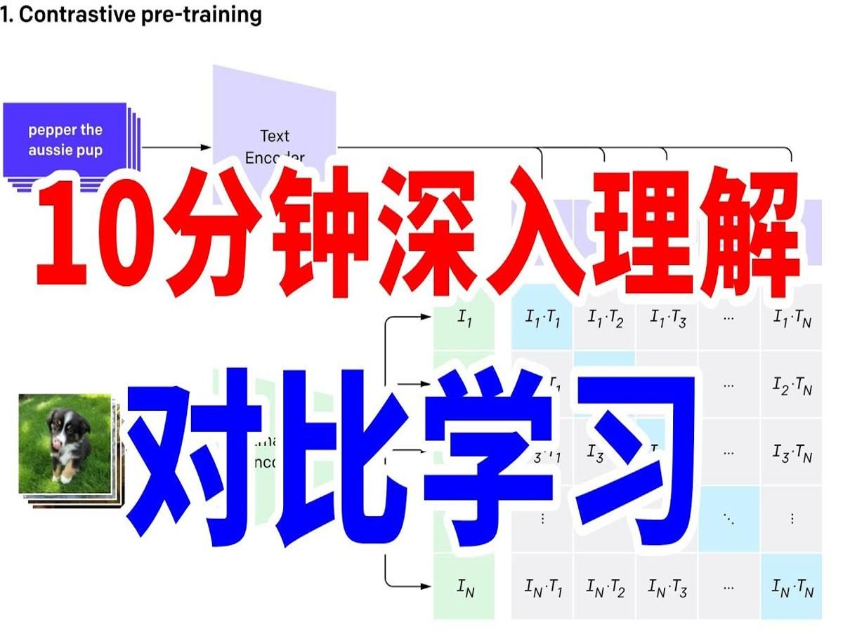 全网最易懂:10分钟深入了解对比学习!哔哩哔哩bilibili