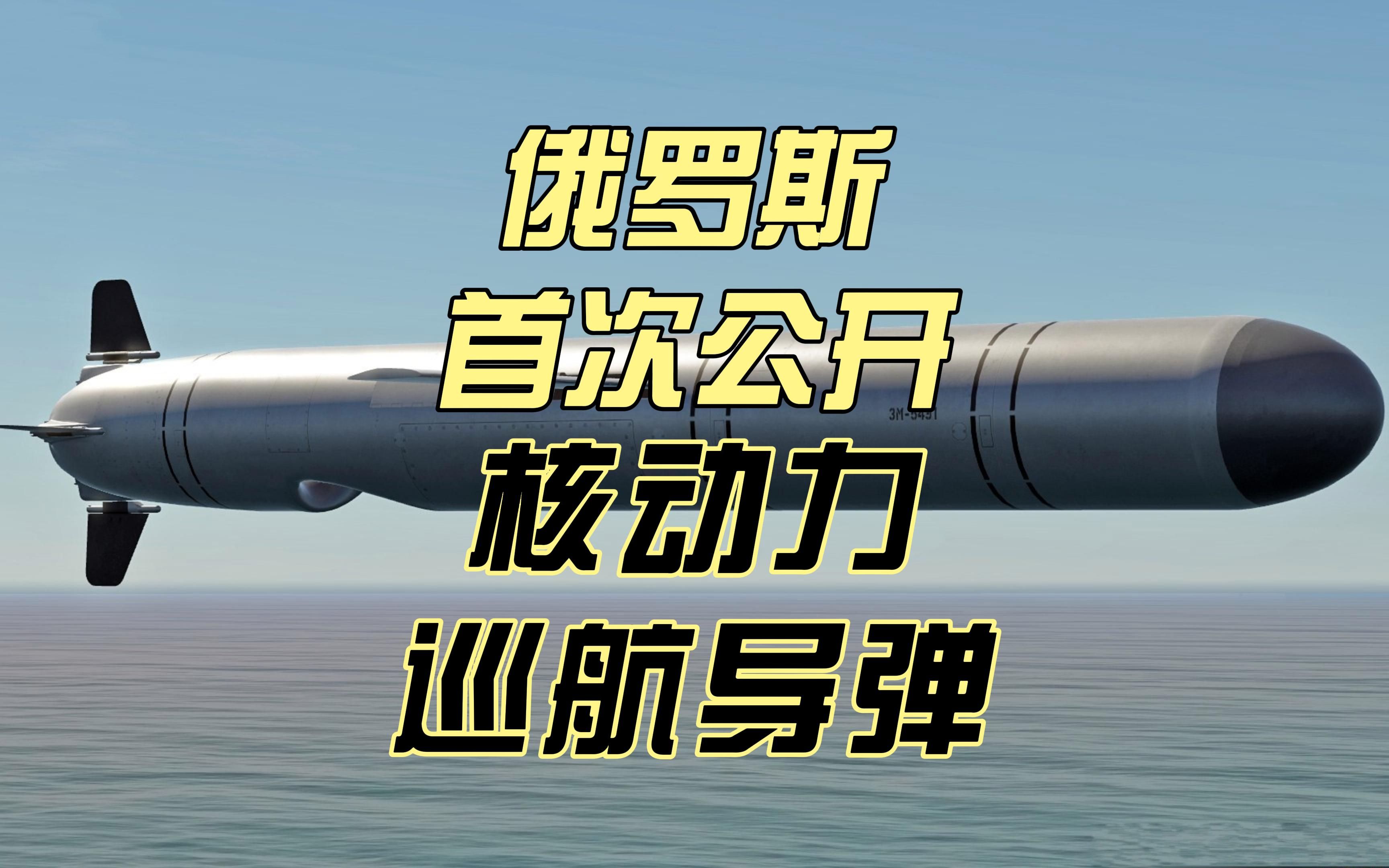 海燕核动力导弹图片