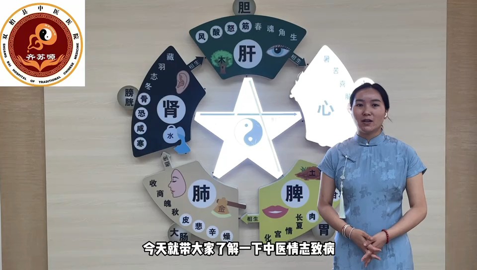 五脏小情绪,今天您伤害了谁?哔哩哔哩bilibili