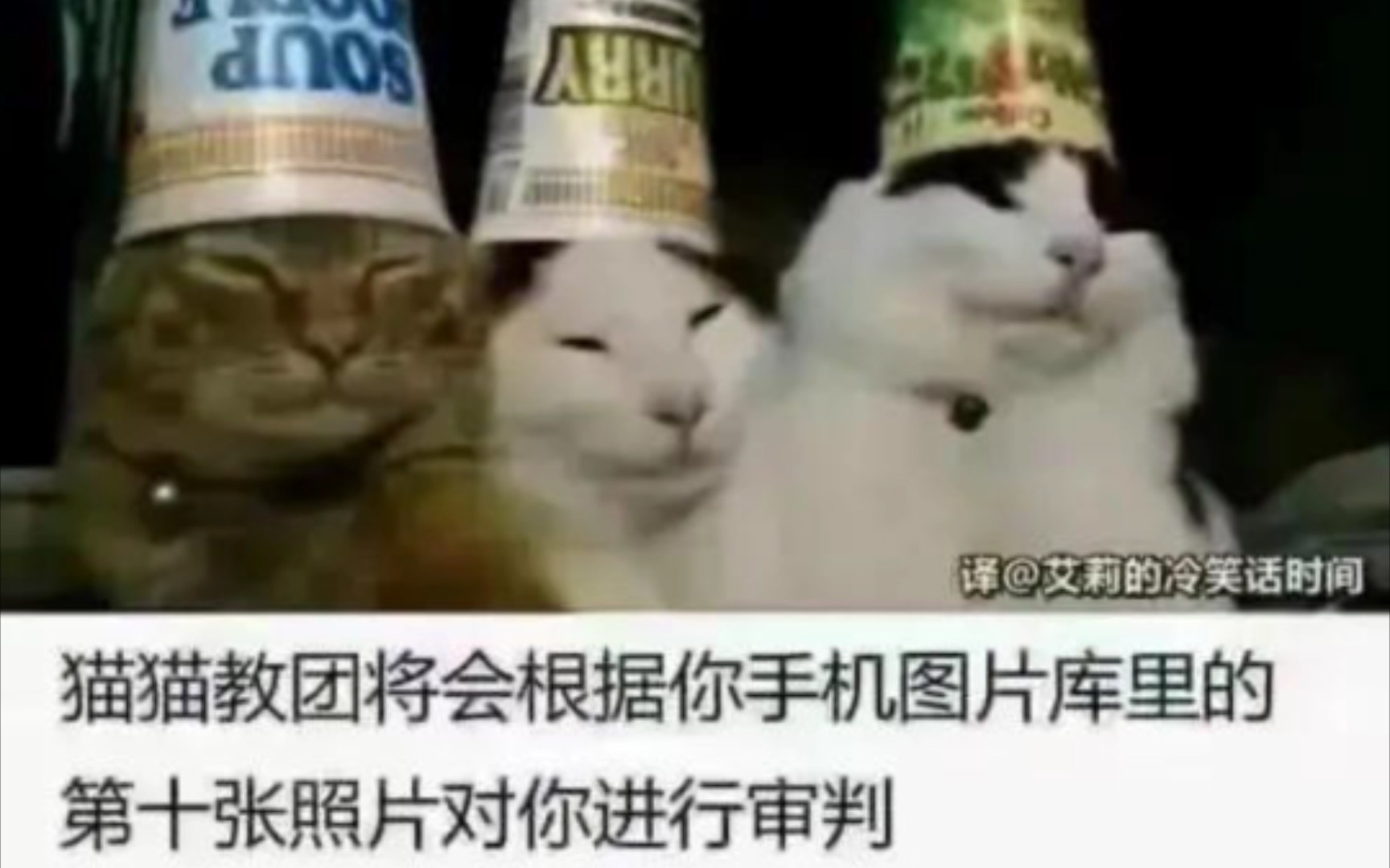 不开玩笑,今日网络吊图,真的嗨好笑哔哩哔哩bilibili