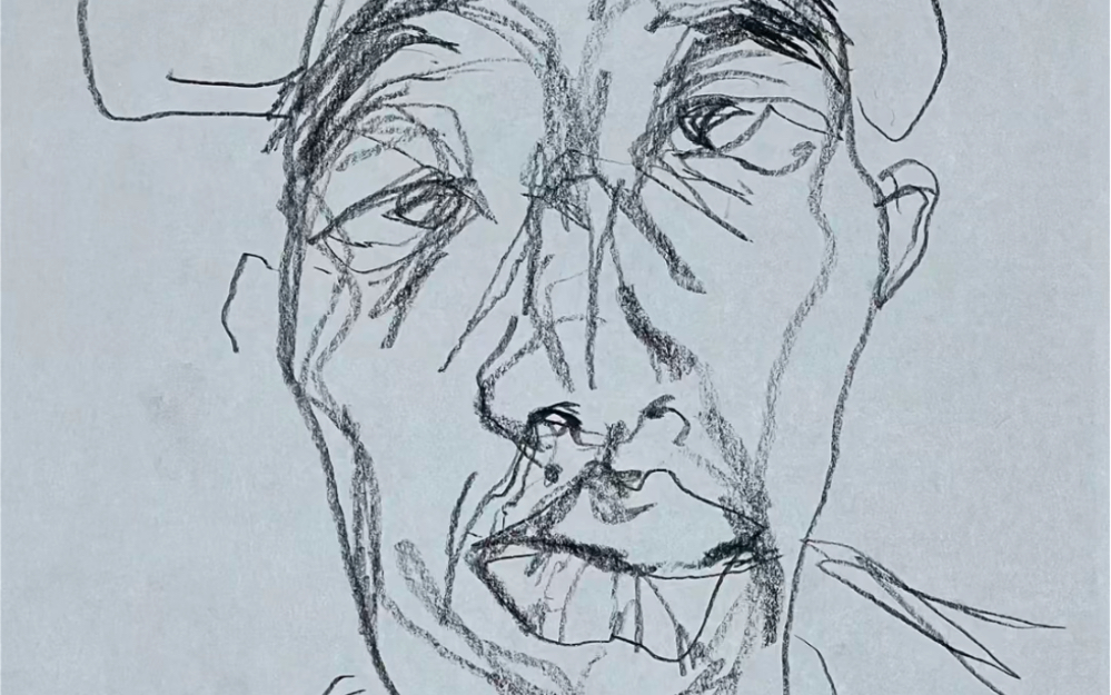 外甥画的自画像越来越抽象了,我都已经看不懂了.