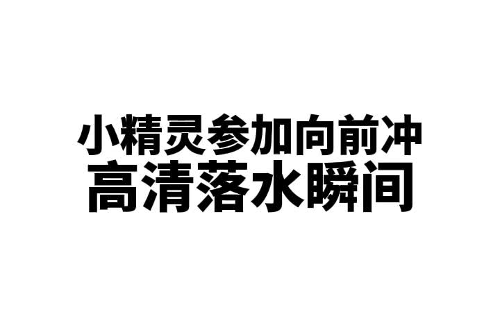 [图]小精灵参加向前冲高清落水瞬间