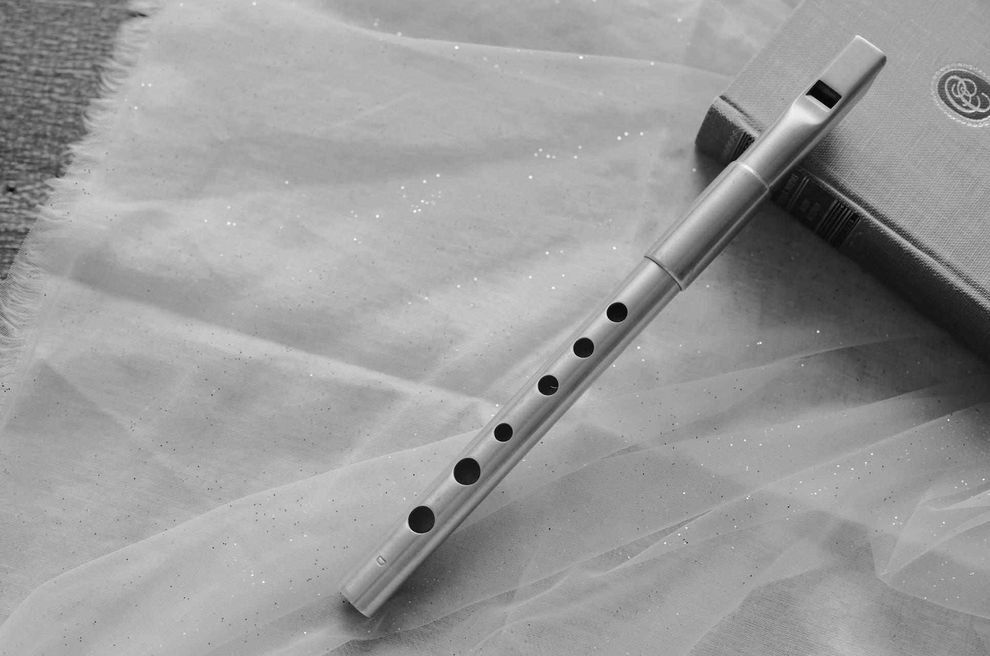 【閒置哨笛】busker high d 酋长哨笛 kerry whistles phil hardy可