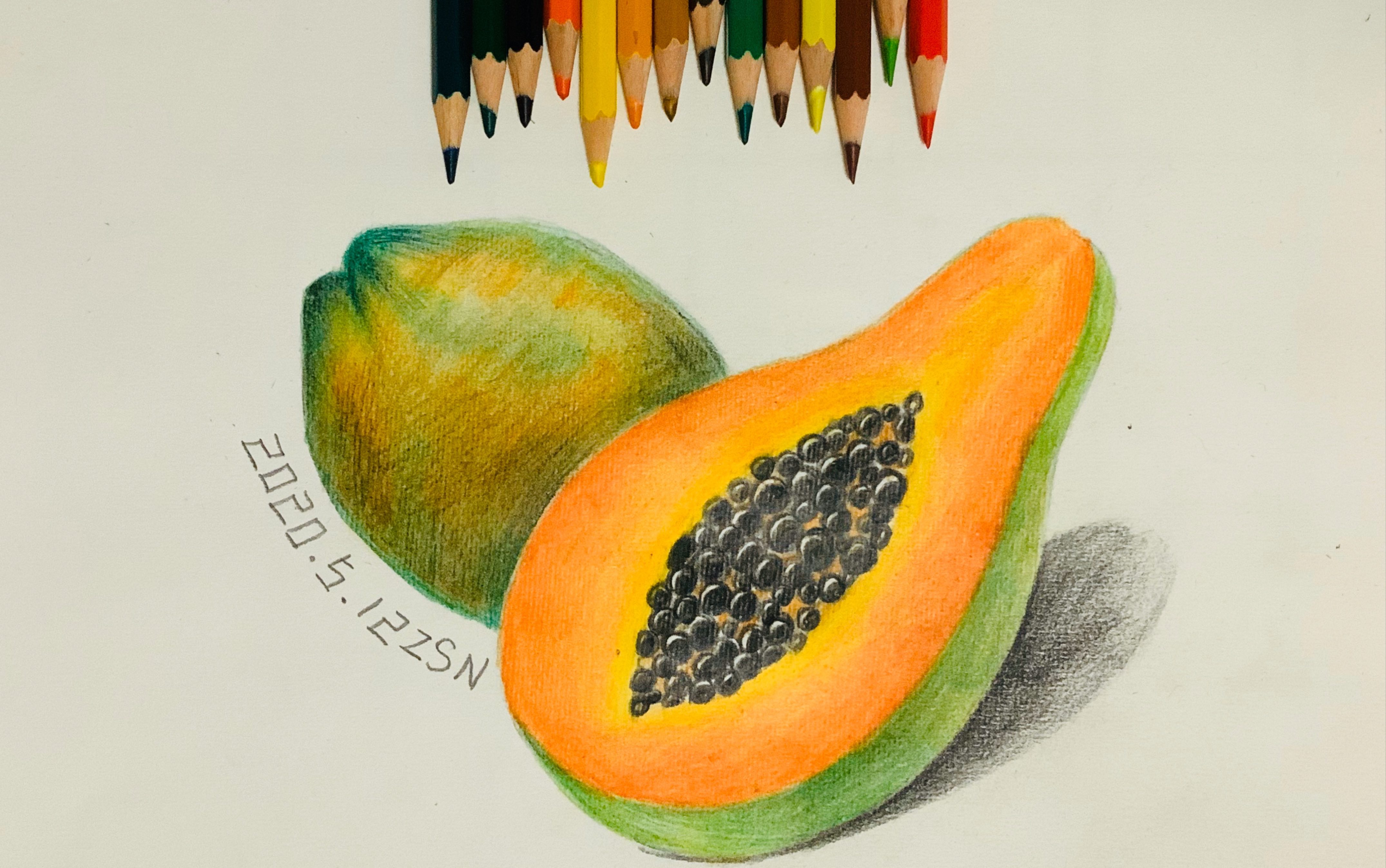 彩铅木瓜绘画教程_哔哩哔哩 (゜-゜)つロ 干杯~-bilibili