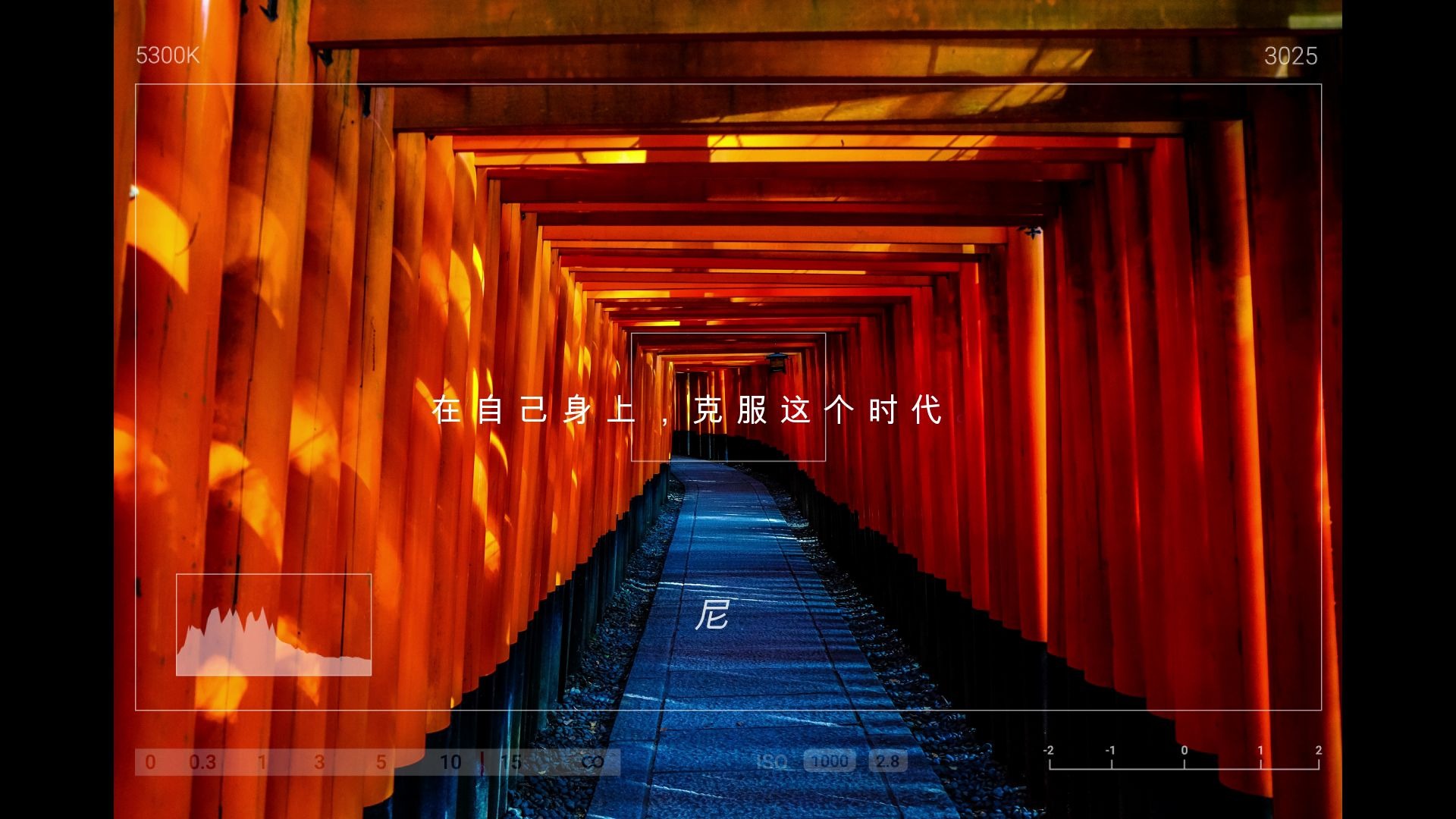 书摘美句在自己身上克服这个时代