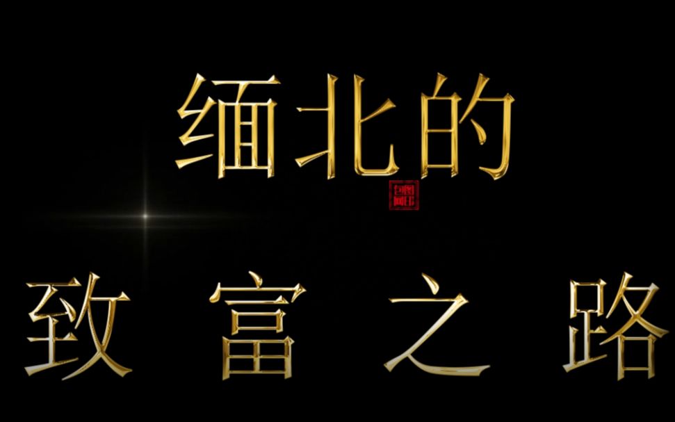 [图]大学生 思修作业 缅北的“致富之路”