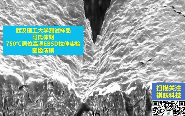 武汉理工大学原位高温750℃ EBSD拉伸 马氏体钢哔哩哔哩bilibili