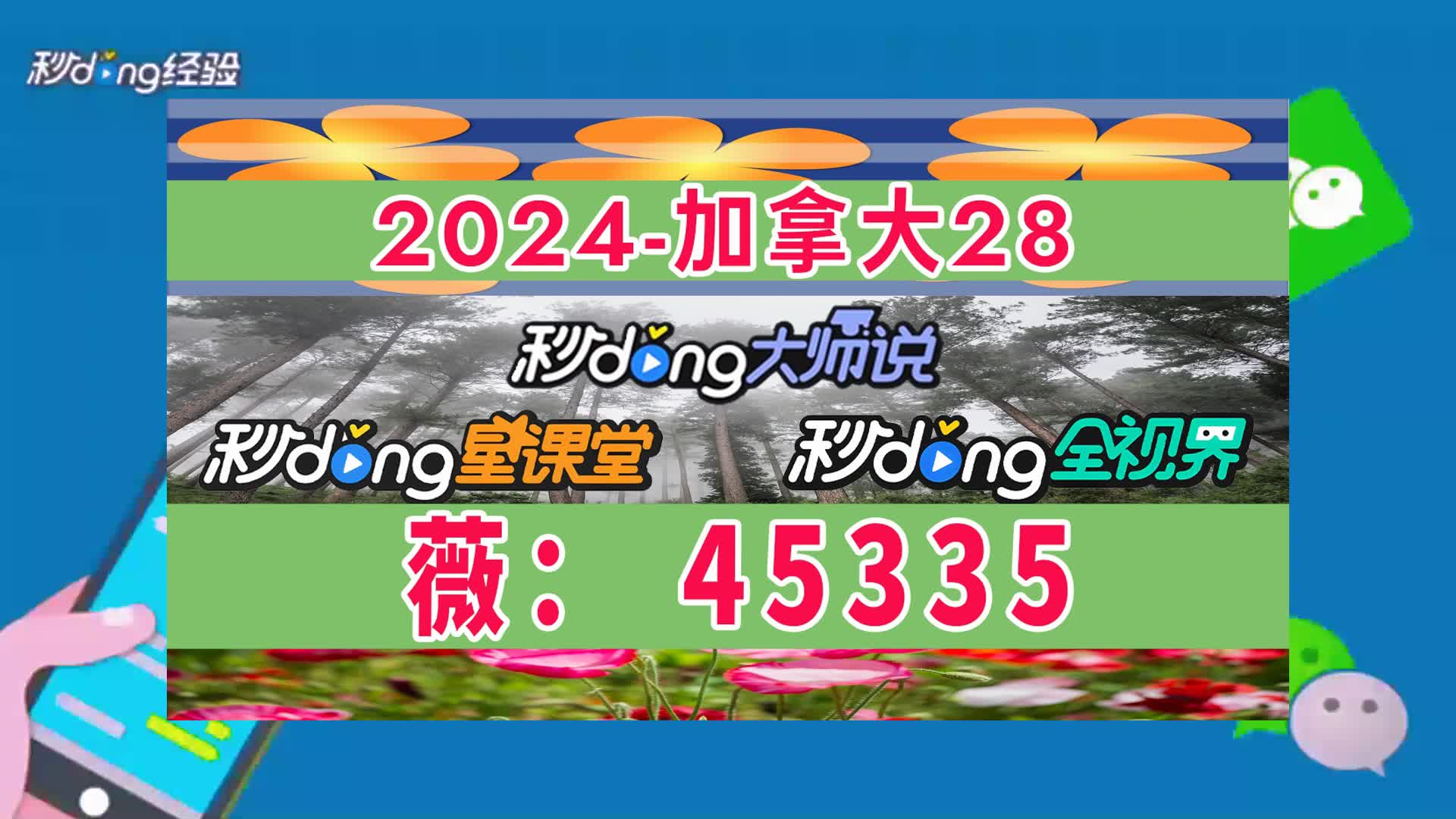 六分揭秘怎么玩28加拿大扫码群