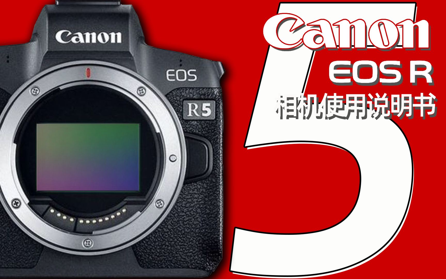 【全20集】CANON佳能R5相机使用说明书 R6用户也可以参考一下【全网首发】哔哩哔哩bilibili