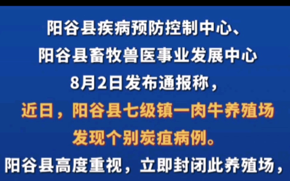 山东阳谷县发现炭疽病例,近期牛羊肉还敢吃吗哔哩哔哩bilibili