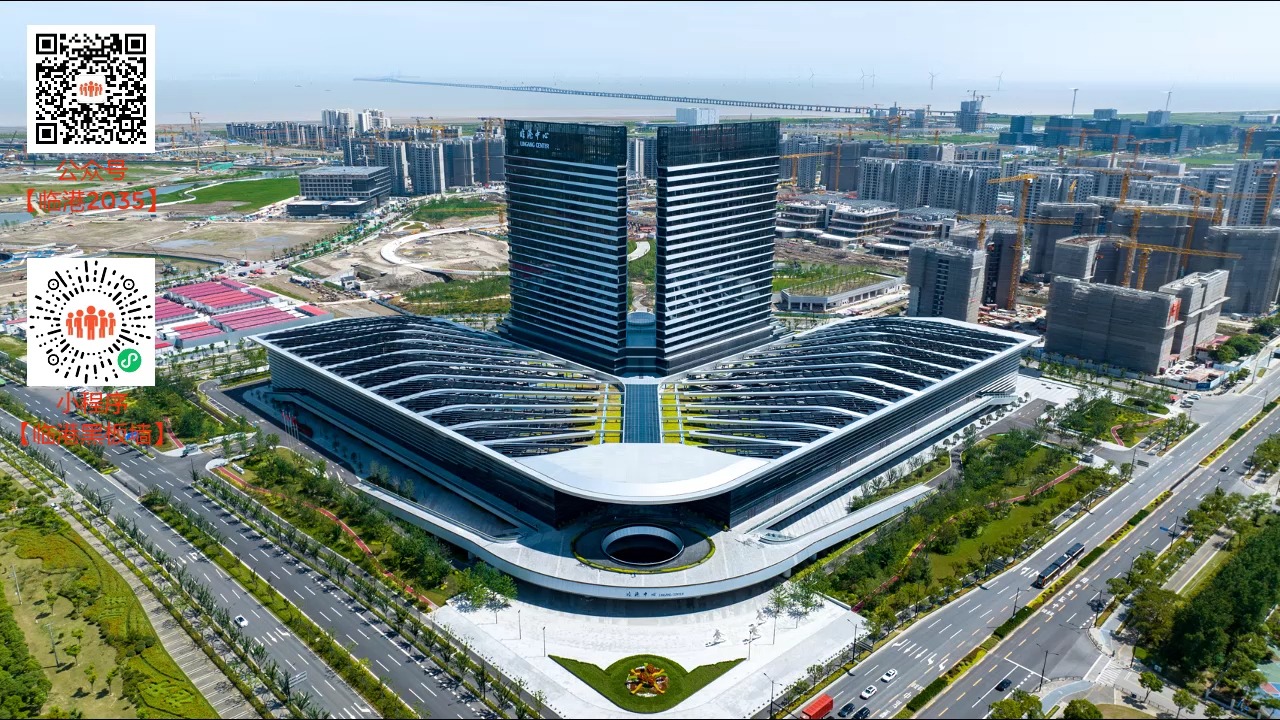 为什么要设立临港新片区,如何看待临港新片区的设立?