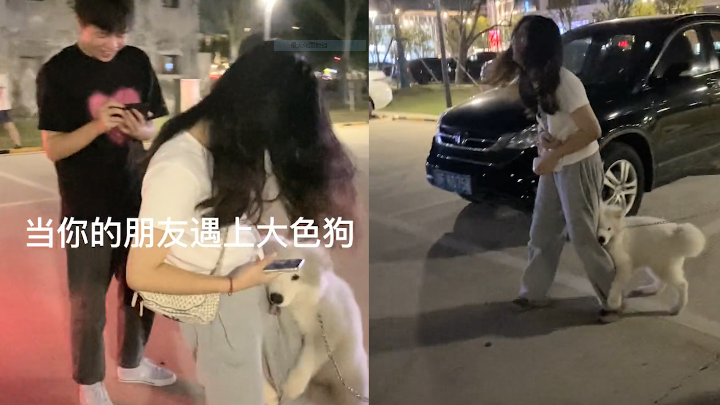 女孩遇“大色狗”!被扒拉着大腿弄一身口水,网友:这狗随它主人哔哩哔哩bilibili