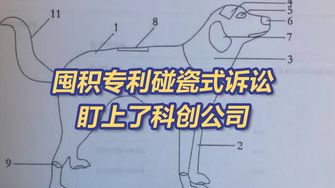 囤专利碰瓷科创公司，没得逞！最高法：以维权之名行侵权之实！