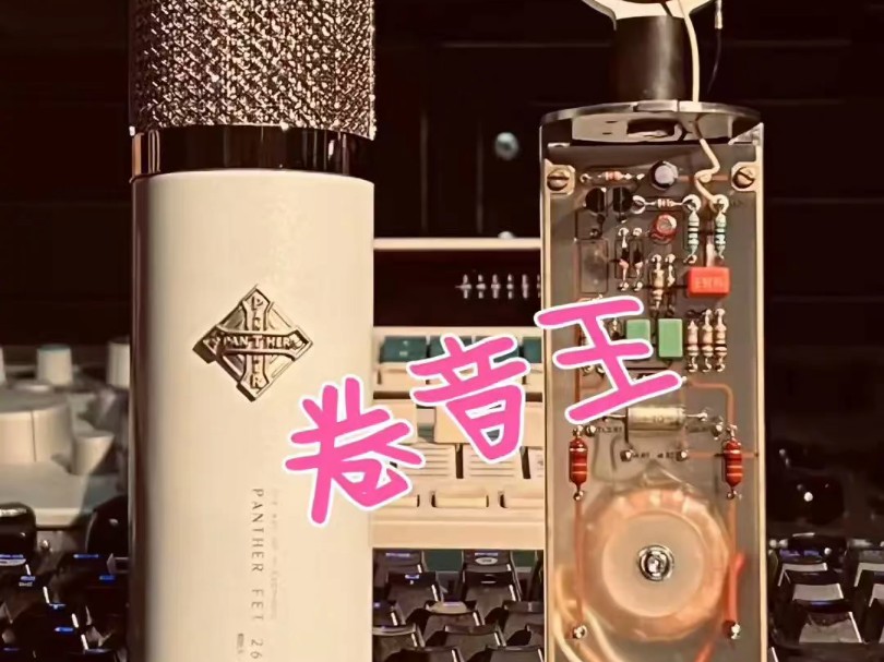 panther 潘广益fet 269c话筒创始人特别版,万元内晶体管手作天花板