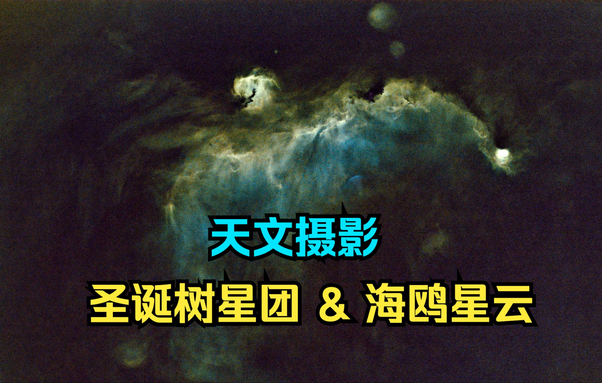 圣诞树星团图片