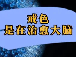 Descargar video: 戒色，其实是治愈大脑