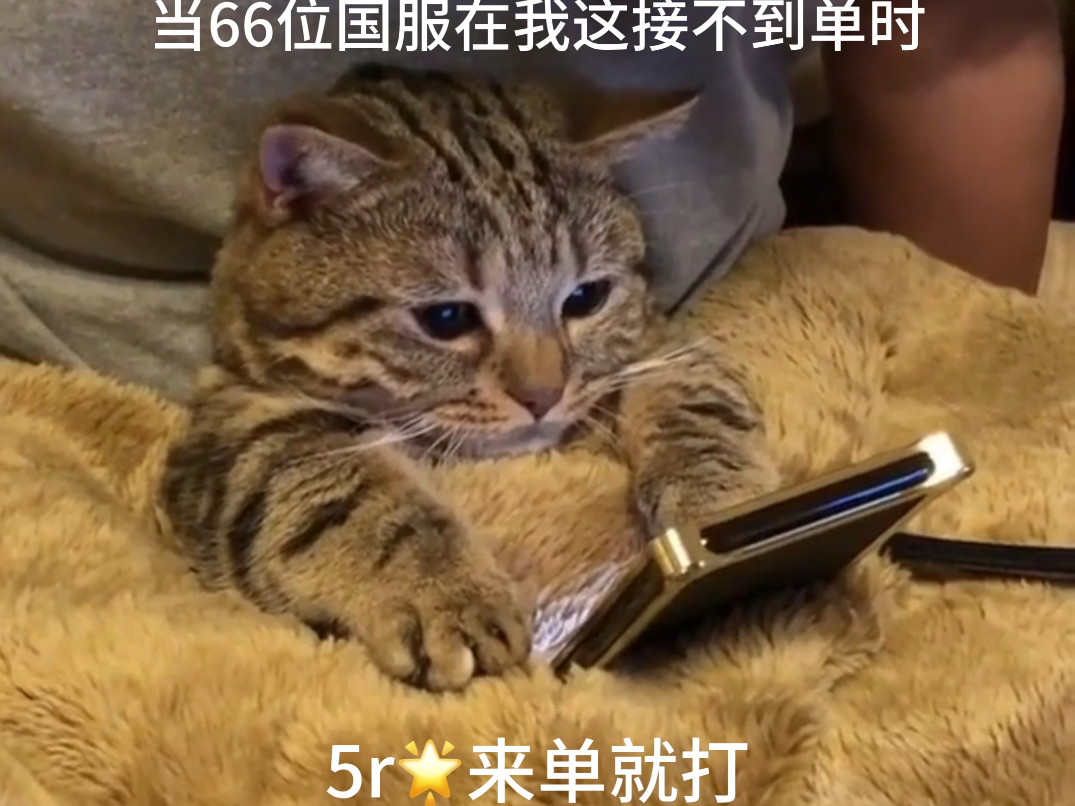 全天24小时在线