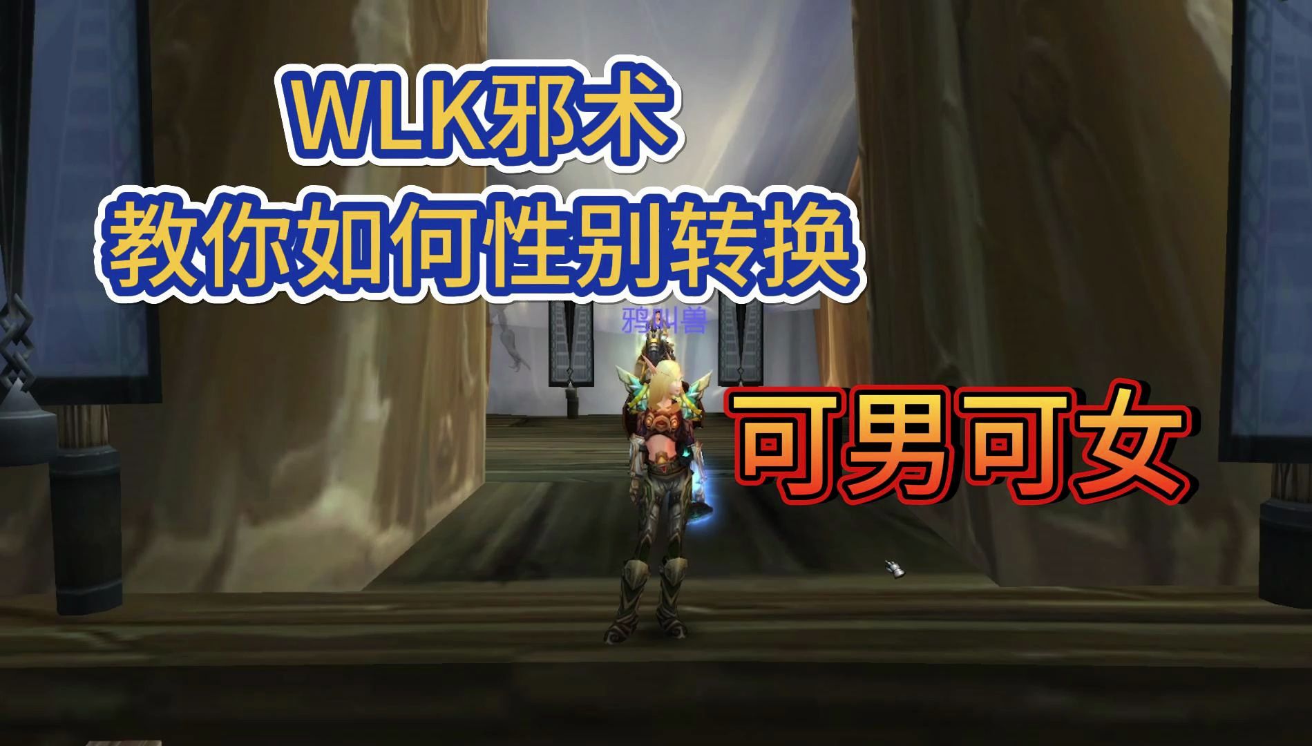 「魔兽世界WLK」WLK邪术,教你如何性别转换,可男可女WOW