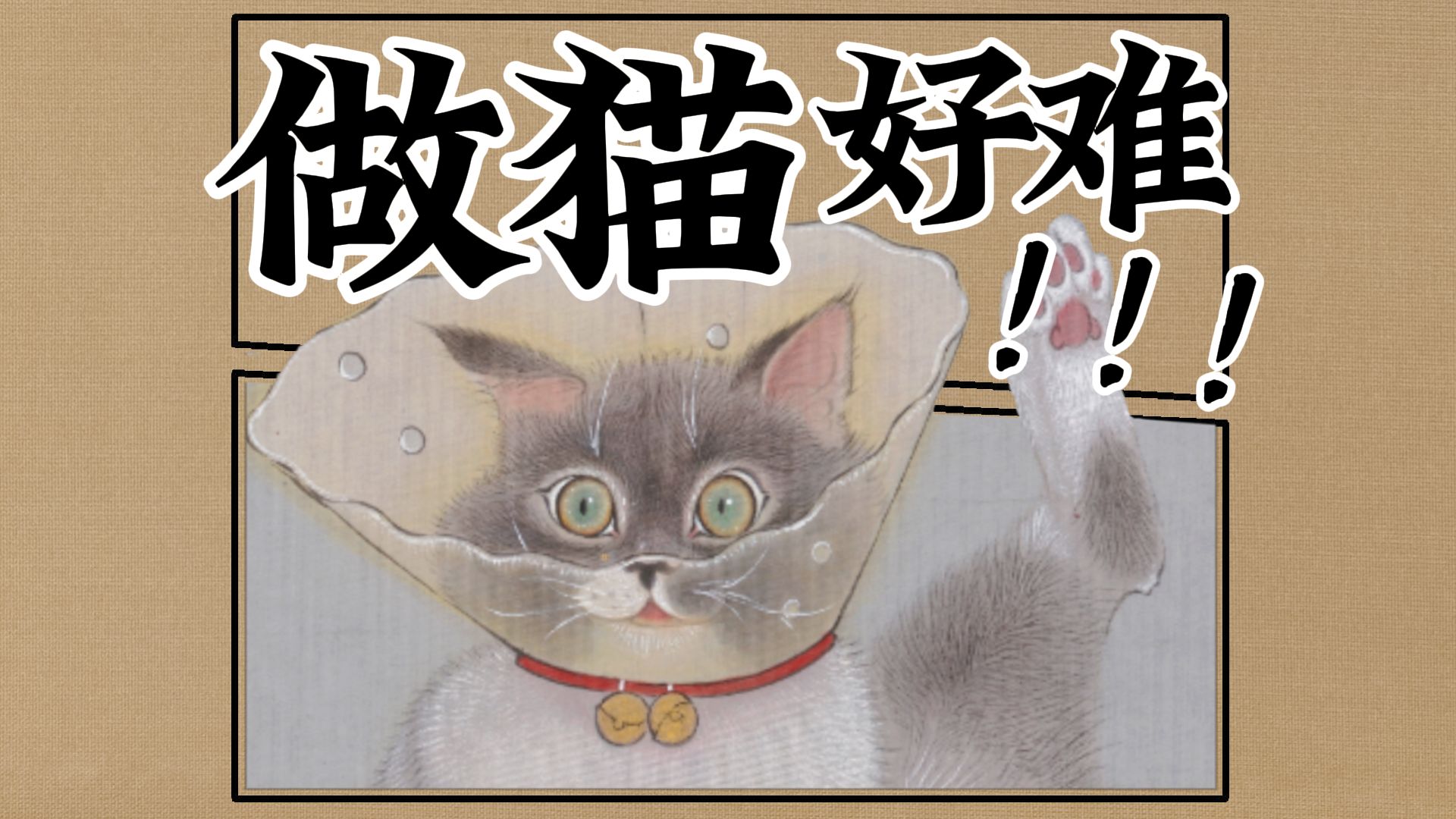 【中国画】猫生大事拆蛋哔哩哔哩bilibili