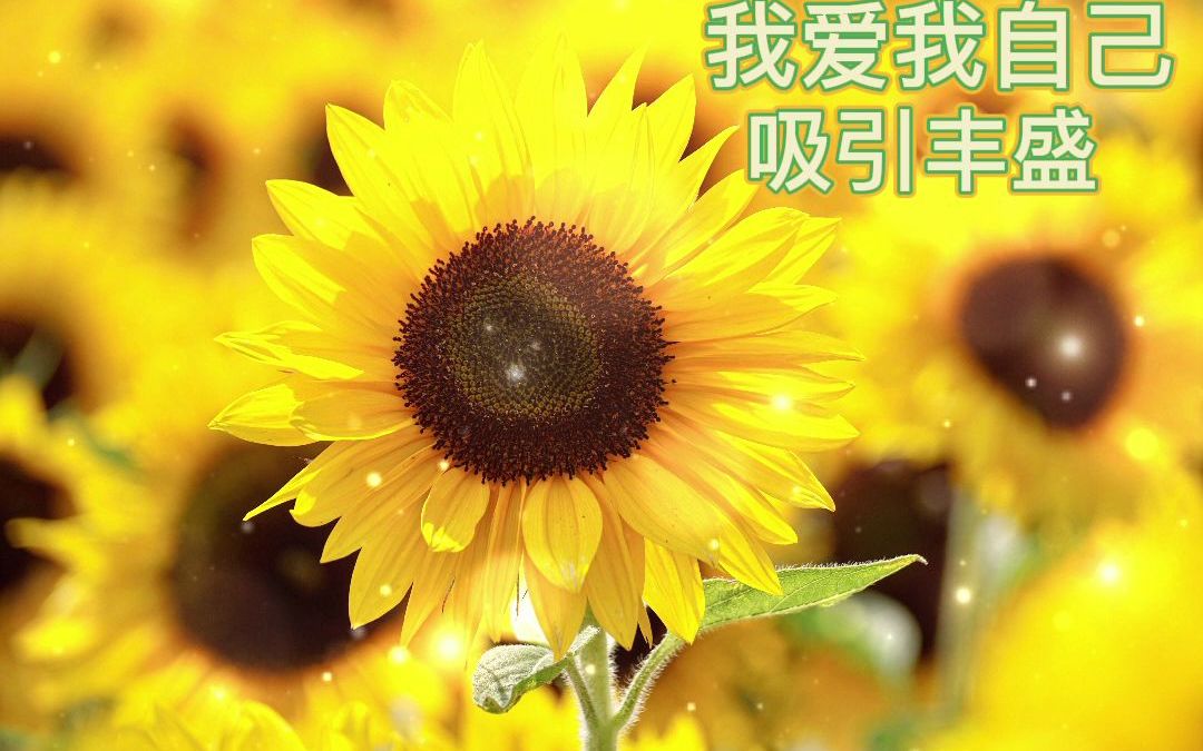 我爱我自己 肯定句 露易丝海 7 吸引丰盛 内在探索 内在成长