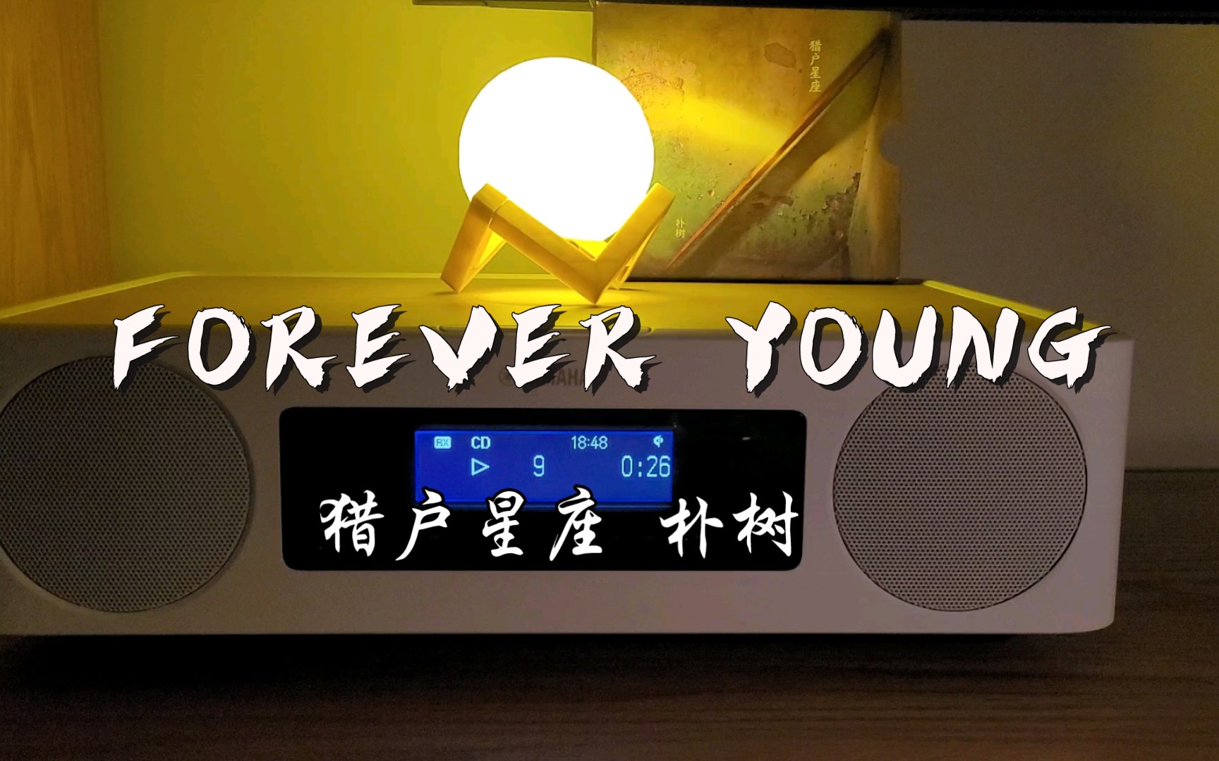 [图]【放歌王】forever young（new boy）朴树