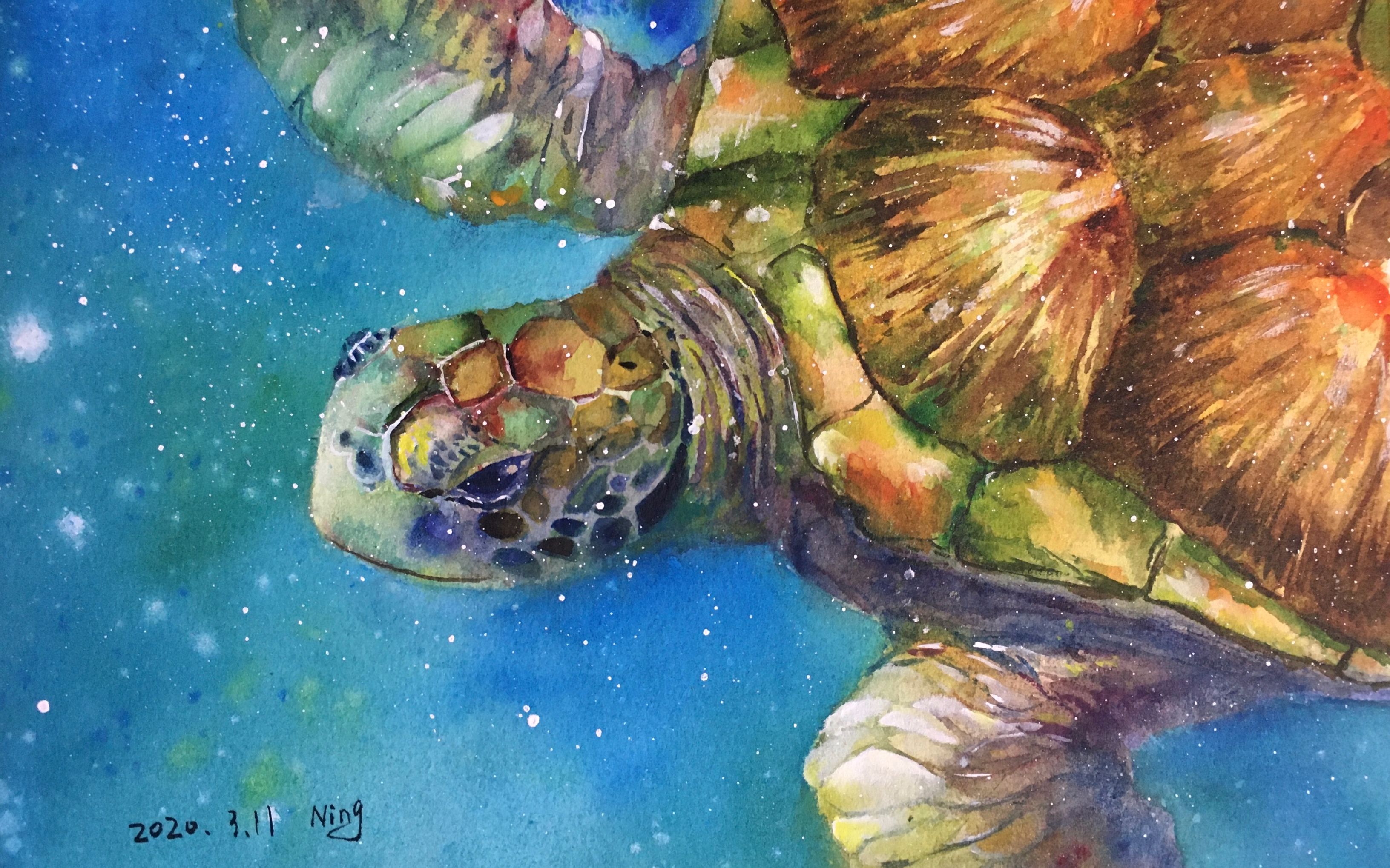 【水彩海龟】今年立flag100张,画完这张数了下11张,欠的还好多_哔哩