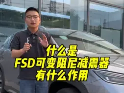 Télécharger la video: 什么是FSD可变阻尼减震器有什么作用