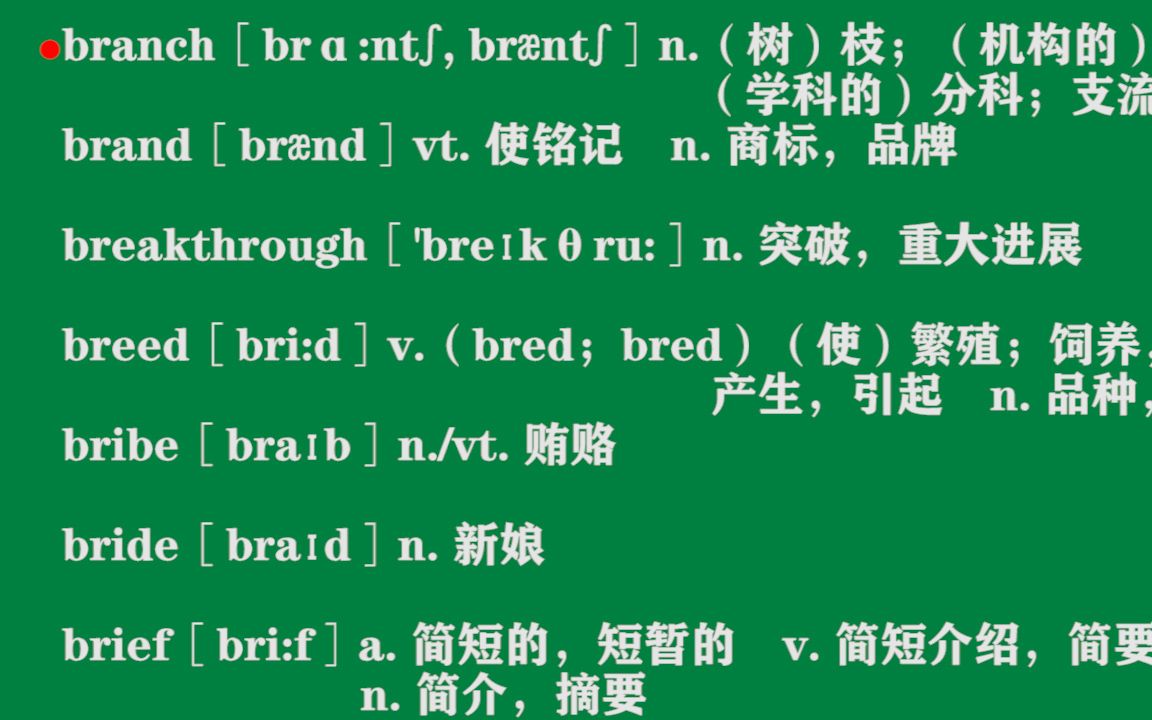 英语四级单词 branch—burden