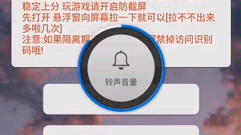 大家千万别去买,用不了的. 【花帝辅助】哔哩哔哩bilibili