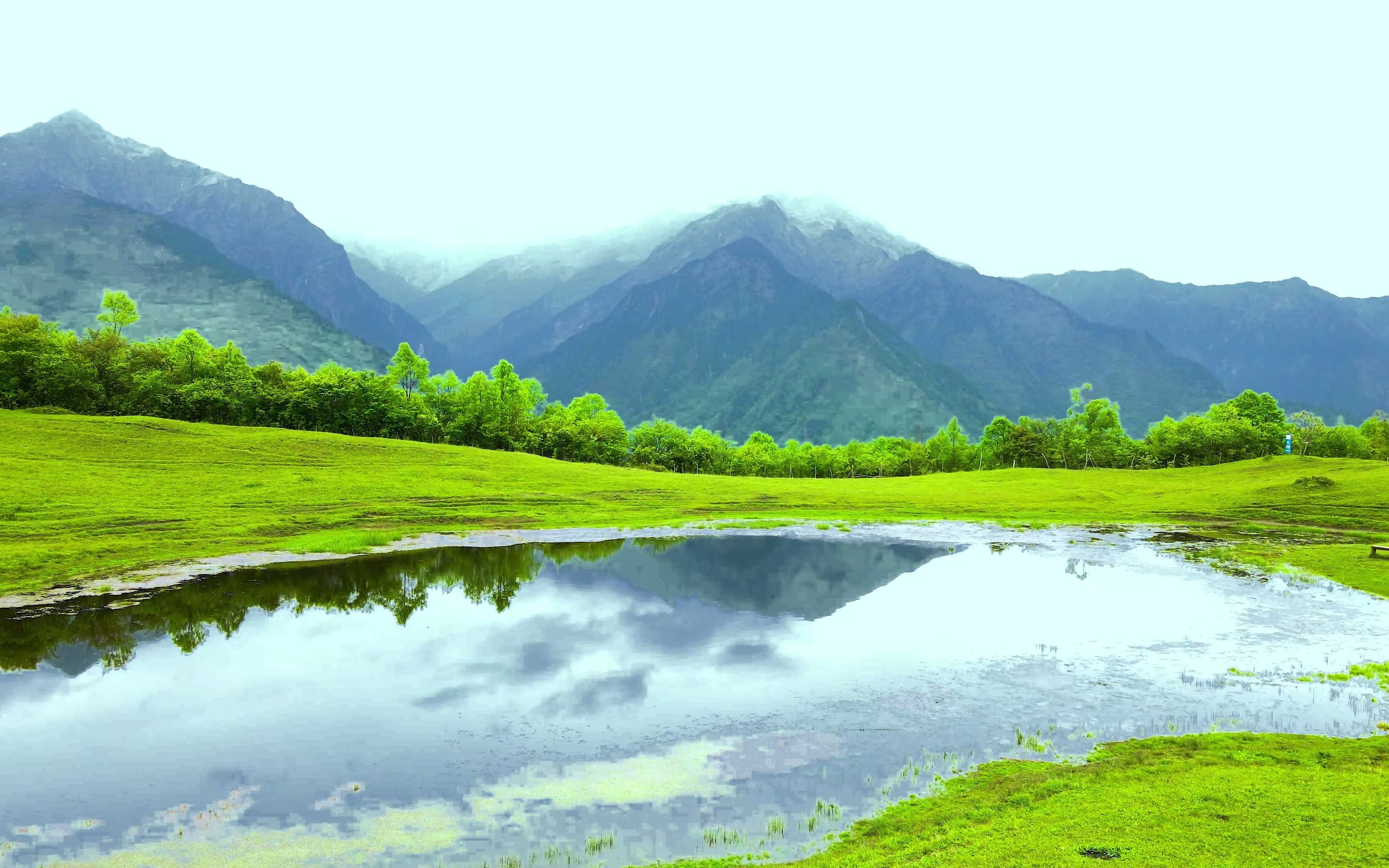 占得高原肥草地-汶川甘海子