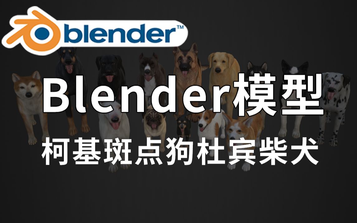 精品Blender宠物狗狗模型,包括柯基、斑点狗、杜宾柴犬、哈士奇、拉布拉多、斗牛犬等,资源十分不错,值得收藏起来吃灰!哔哩哔哩bilibili