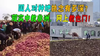 Descargar video: 中国人种地执念有多深？现实中教非洲种红薯，网络上隔空教也门！