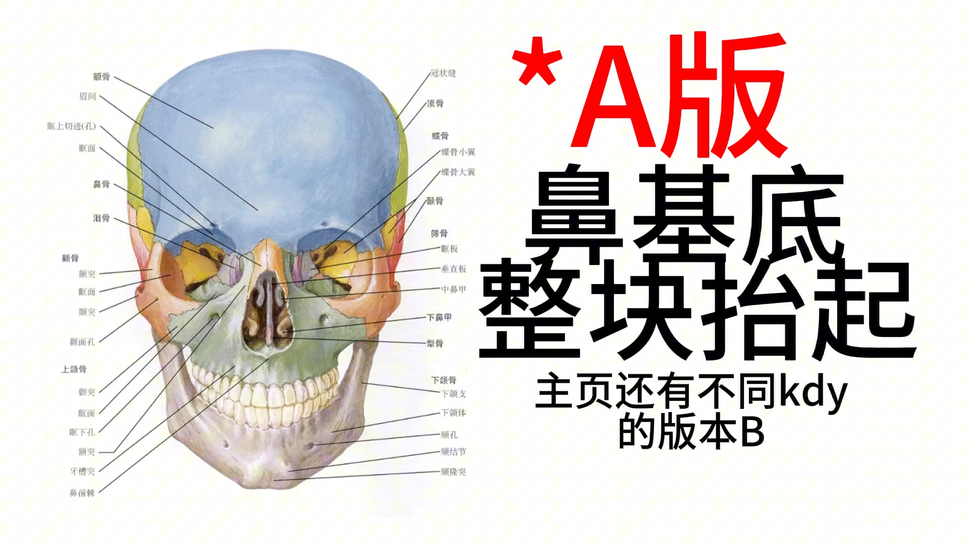 鼻基底 不能引流哦
