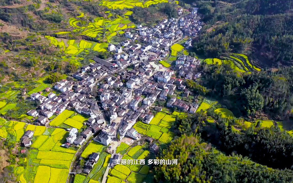 [图]绿水青山就是金山银山。欢迎疫情过后来美丽江西，洗洗您的肺……