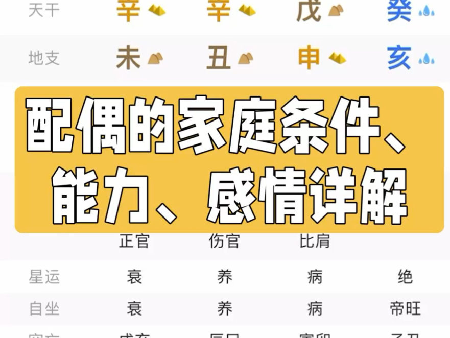 八字详细分析:配偶的家庭条件、能力、感情哔哩哔哩bilibili