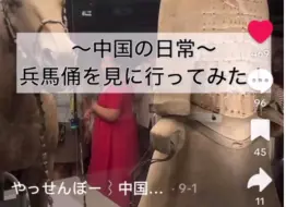 Télécharger la video: TikTok日本博主参观中国西安兵马俑