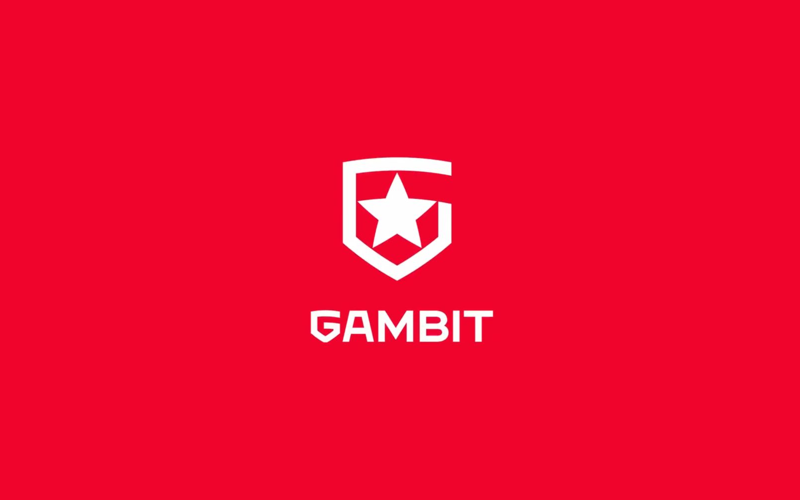 【csgo | 中字】gambit 回答粉丝提问_电子竞技热门视频