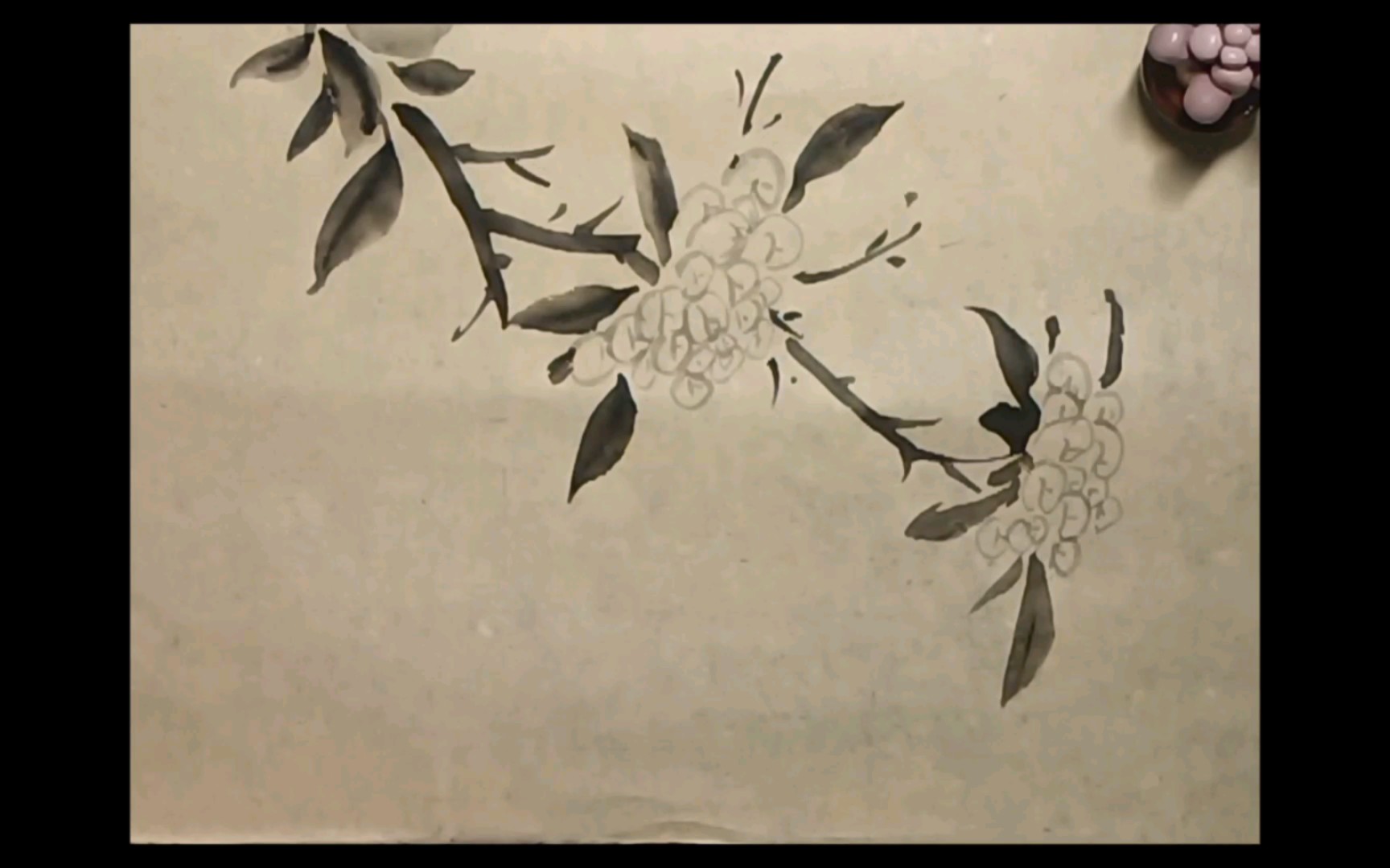 水墨绣球花|墨花卷其一