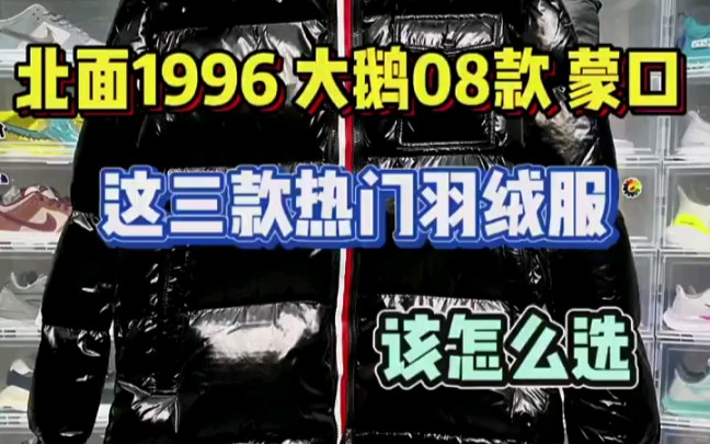 盘点十大莆田大鹅分几种版本_莆田版大鹅和正版有什么区别-第2张图片-潮百科