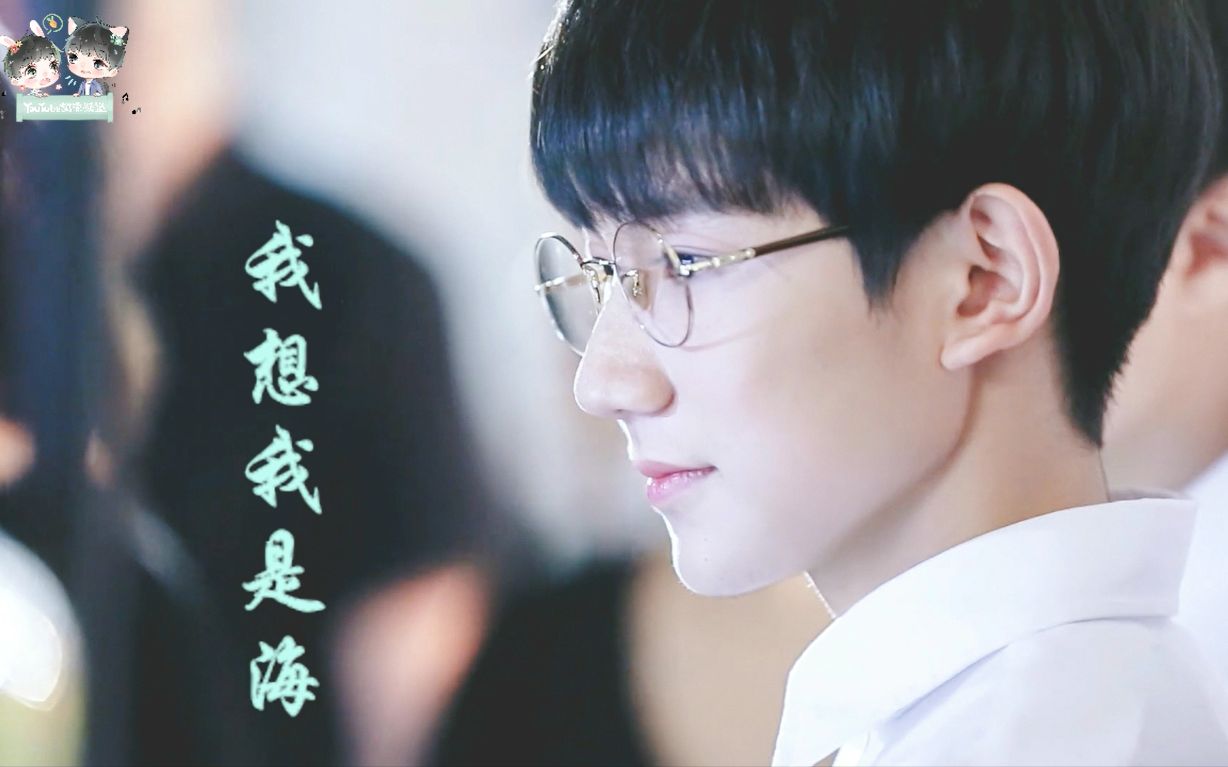 【TFBOYS王源】《我想我是海》单人歌词版