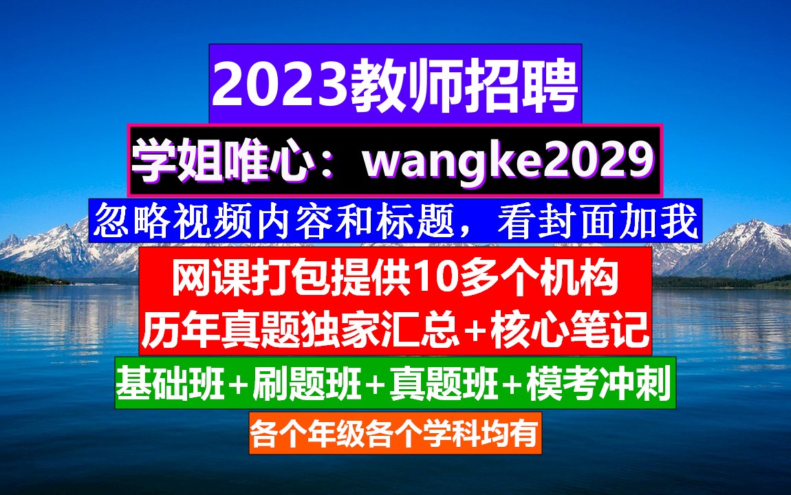 全国教师招聘初高中政治,教师师德考核个人总结,教招网课资源哔哩哔哩bilibili