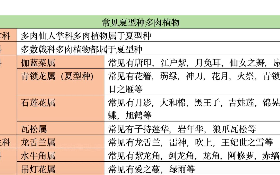 【多肉植物养护】多肉夏型种、冬型种、春秋型种,傻傻分不清楚?常见品种最全整理哔哩哔哩bilibili