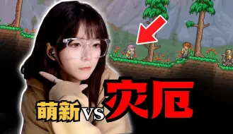 Descargar video: 向导：有时候一个人看萌新挺无助的【泰拉瑞亚灾厄#1】