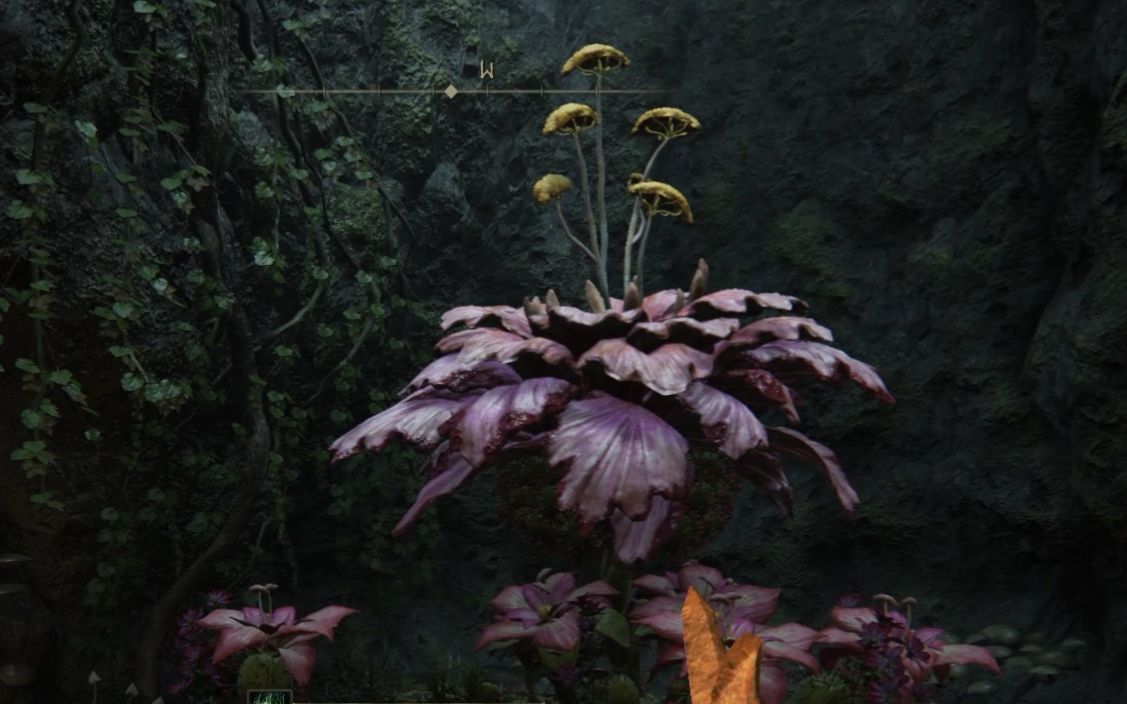 登法环 / elden ring boss战 22 病花 米兰达 / miranda the blighted